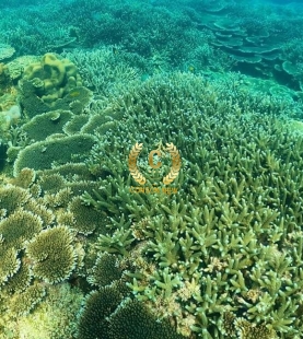 Lịch Trình Tour 3 Ngày 2 Đêm Tại Côn Đảo