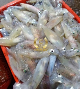 Hải sản Côn Đảo